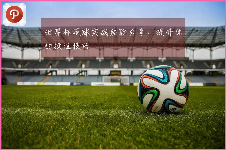 世界杯滚球实战经验分享，提升你的投注技巧