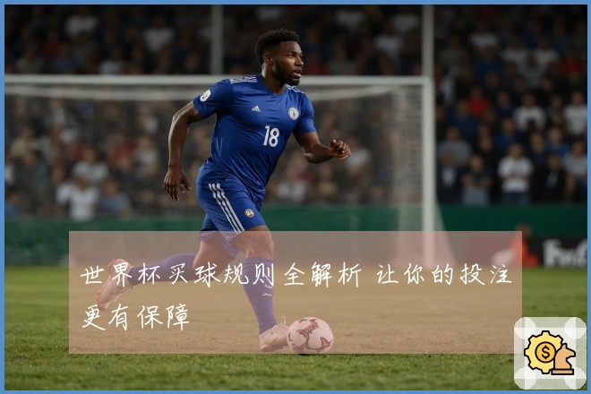 世界杯买球规则全解析 让你的投注更有保障