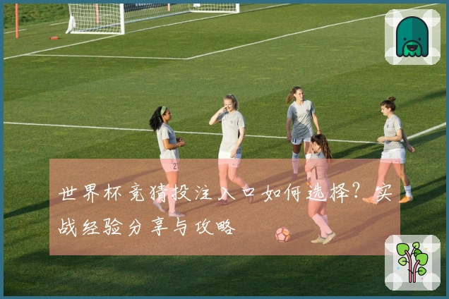 世界杯竞猜投注入口如何选择？实战经验分享与攻略