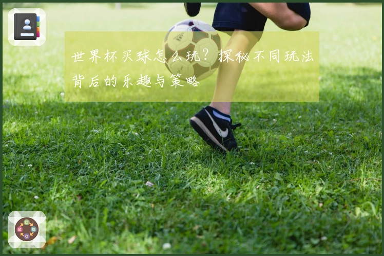 世界杯买球怎么玩？探秘不同玩法背后的乐趣与策略