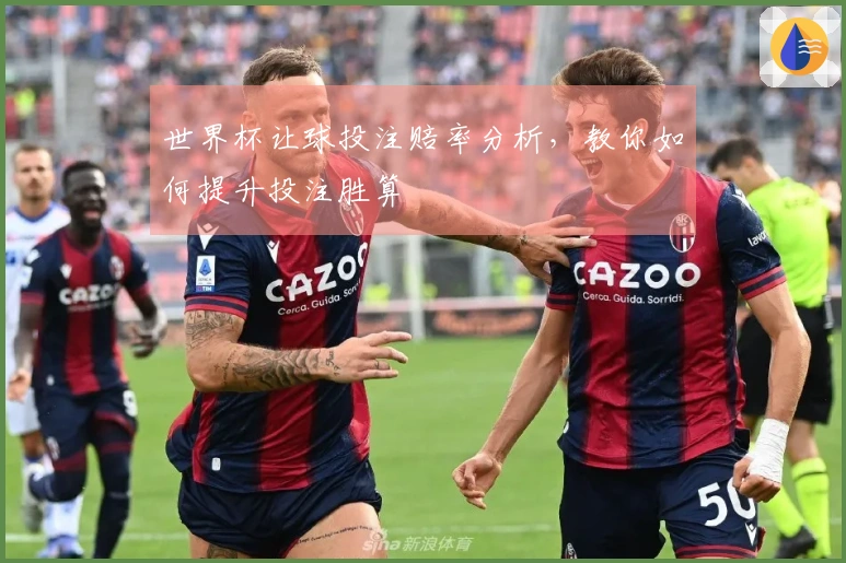 世界杯让球投注赔率分析，教你如何提升投注胜算