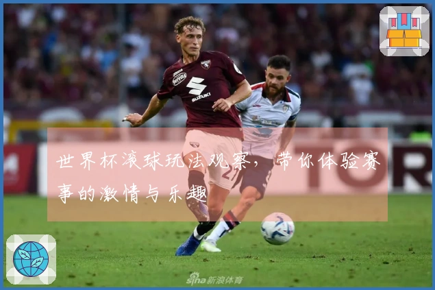 世界杯滚球玩法观察，带你体验赛事的激情与乐趣