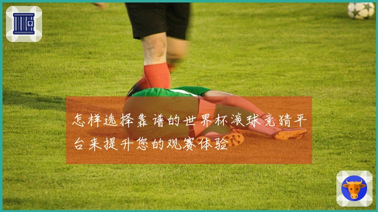 怎样选择靠谱的世界杯滚球竞猜平台来提升您的观赛体验