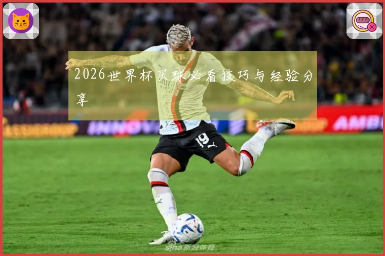 2026世界杯买球必看技巧与经验分享