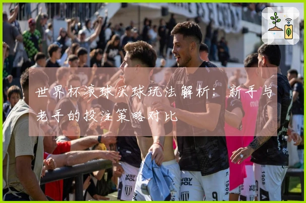 世界杯滚球买球玩法解析：新手与老手的投注策略对比