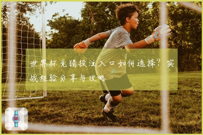 世界杯竞猜投注入口如何选择？实战经验分享与攻略