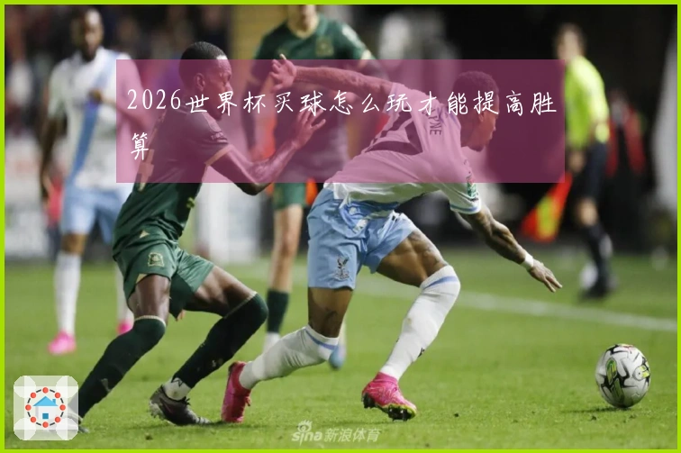 2026世界杯买球怎么玩才能提高胜算