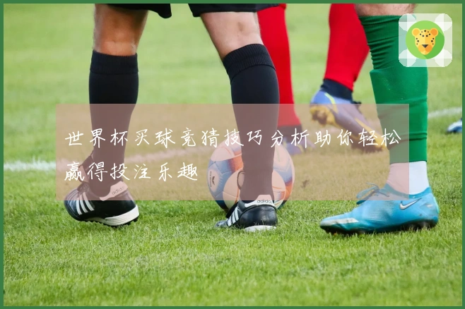 世界杯买球竞猜技巧分析助你轻松赢得投注乐趣