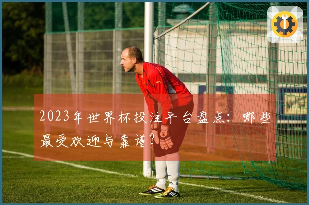 2023年世界杯投注平台盘点：哪些最受欢迎与靠谱？