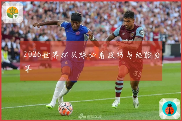 2026世界杯买球必看技巧与经验分享