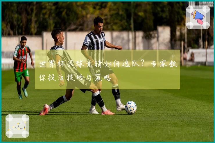 世界杯买球竞猜如何选队？专家教你投注技巧与策略