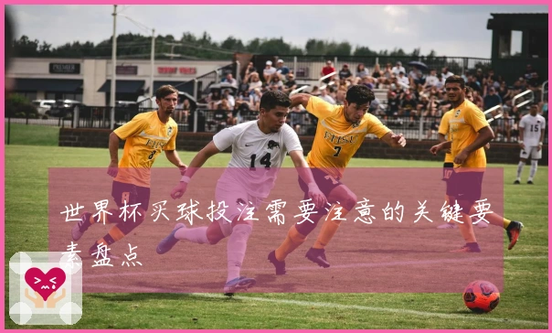 世界杯买球投注需要注意的关键要素盘点