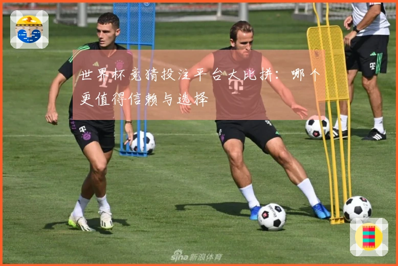 世界杯竞猜投注平台大比拼：哪个更值得信赖与选择