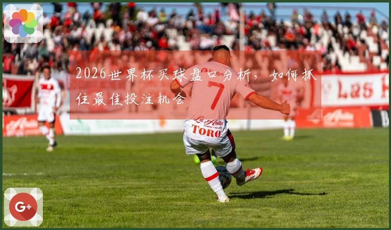 2026世界杯买球盘口分析，如何抓住最佳投注机会