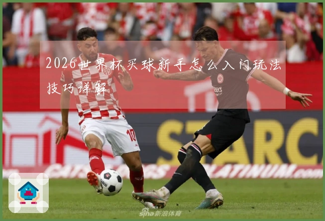 2026世界杯买球新手怎么入门玩法技巧详解